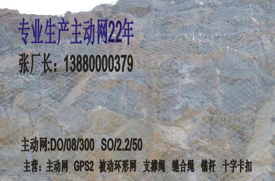 重慶主動防護網，四川質量好的GPS2主動防護網